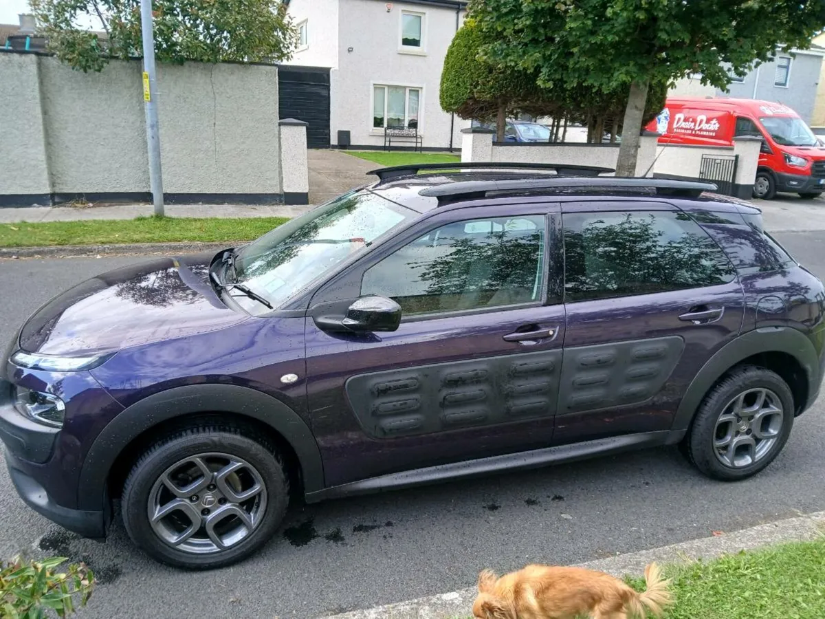181 c4 cactus - Image 4