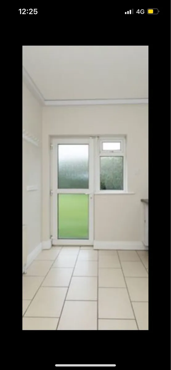 Back Door and Windows - Image 2