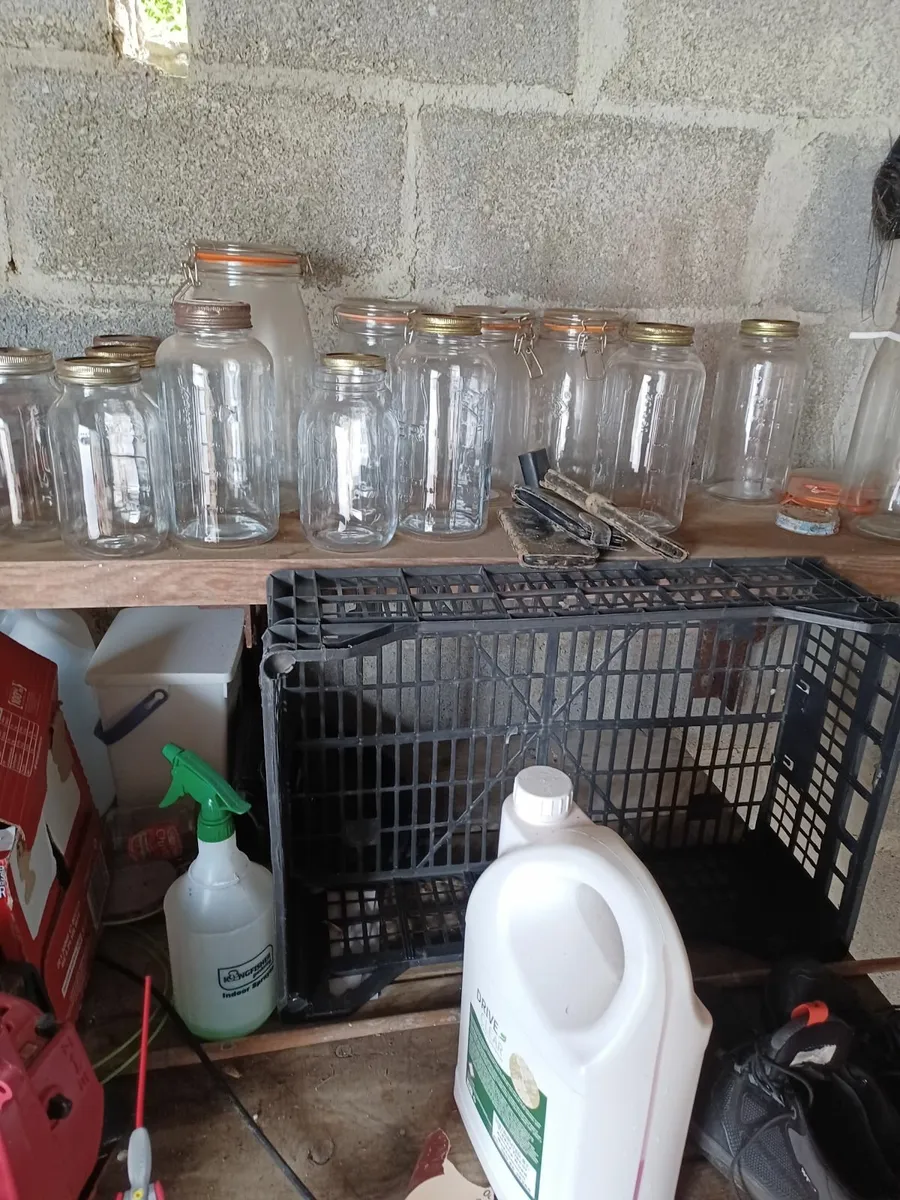 Vigopresses pasteuriser plus about 65 Kilner jars - Image 2