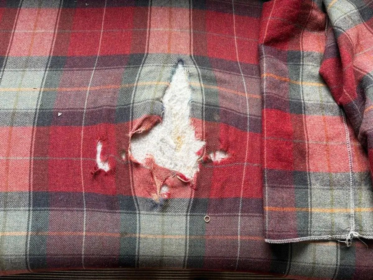 Free Sofa - Image 3