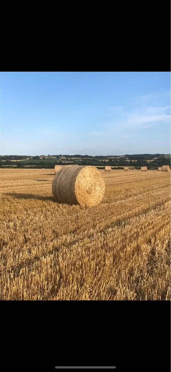 Straw 4x4 wheat and barley - Image 1