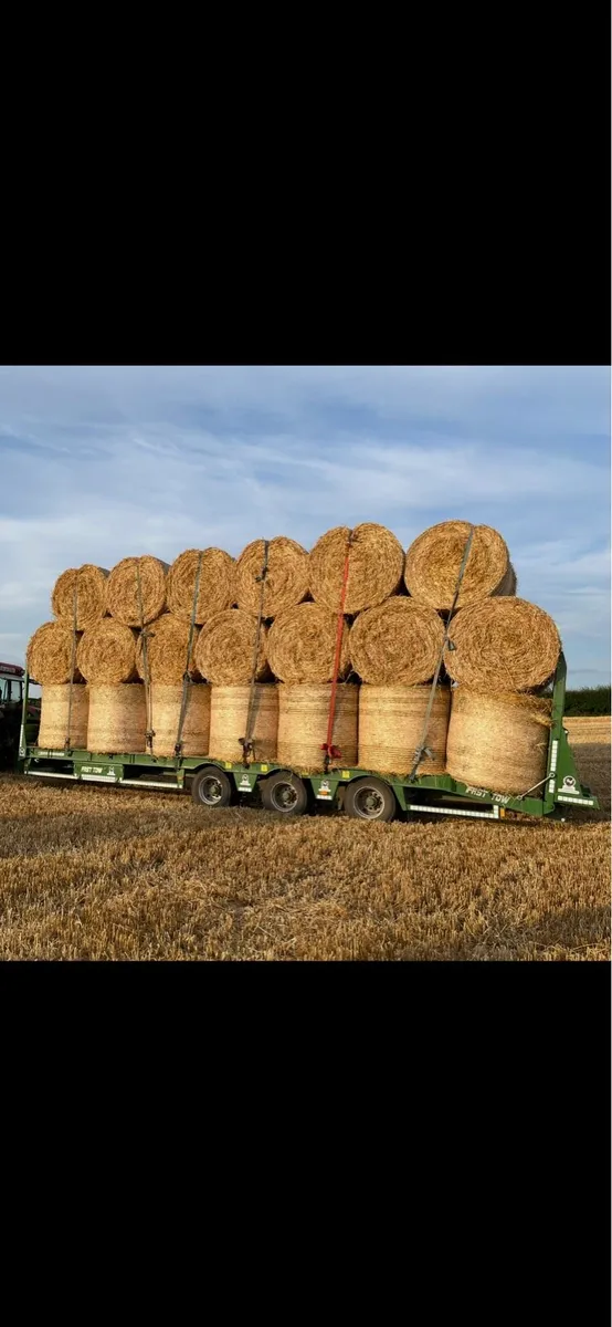 Straw 4x4 wheat and barley - Image 2