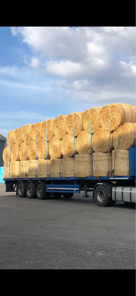 Straw 4x4 wheat and barley - Image 3
