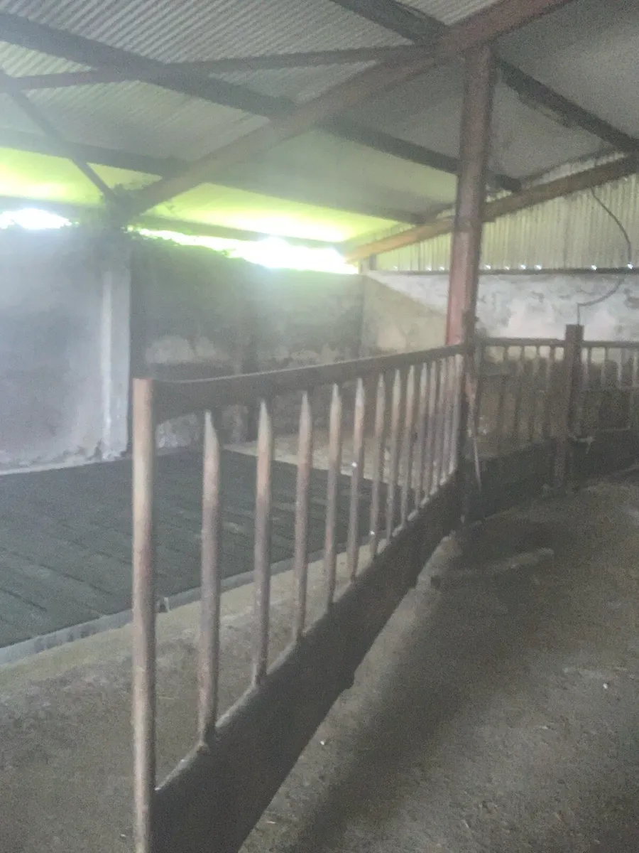 Feeding barriers - Image 1