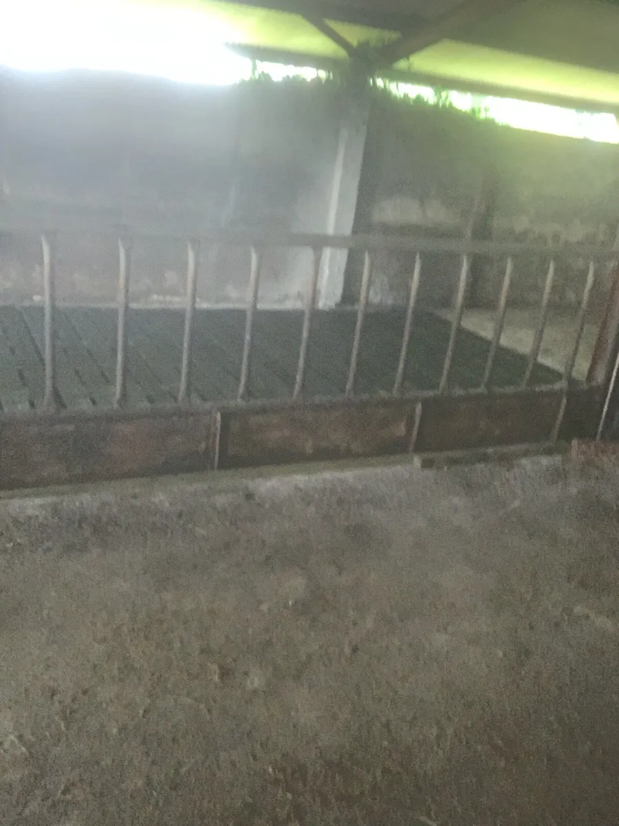 Feeding barriers - Image 3