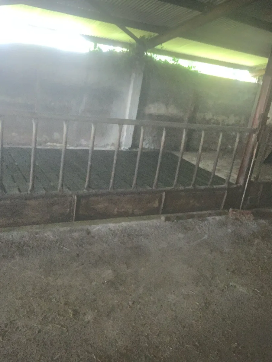 Feeding barriers - Image 4