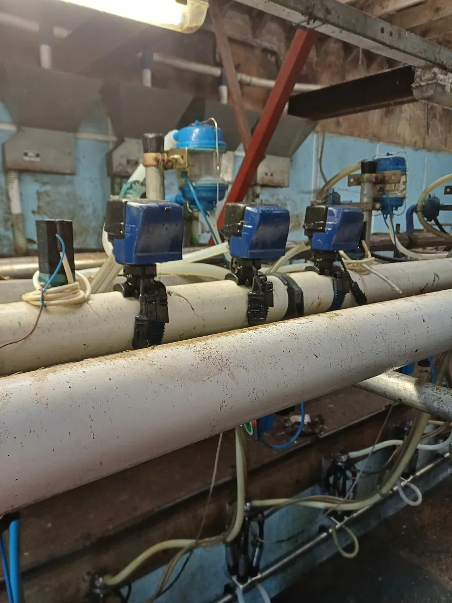 Milking Parlour - Image 1