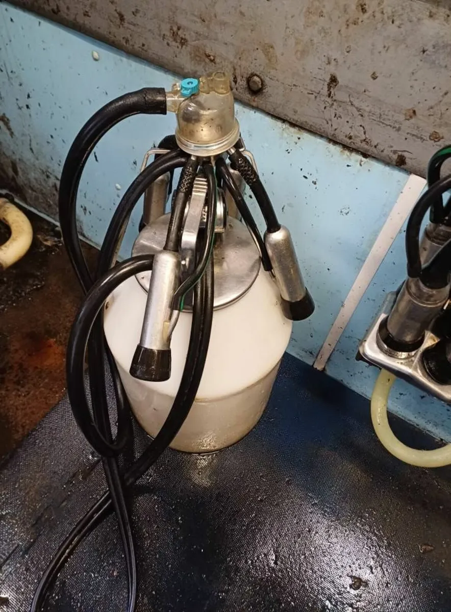 Milking Parlour - Image 3