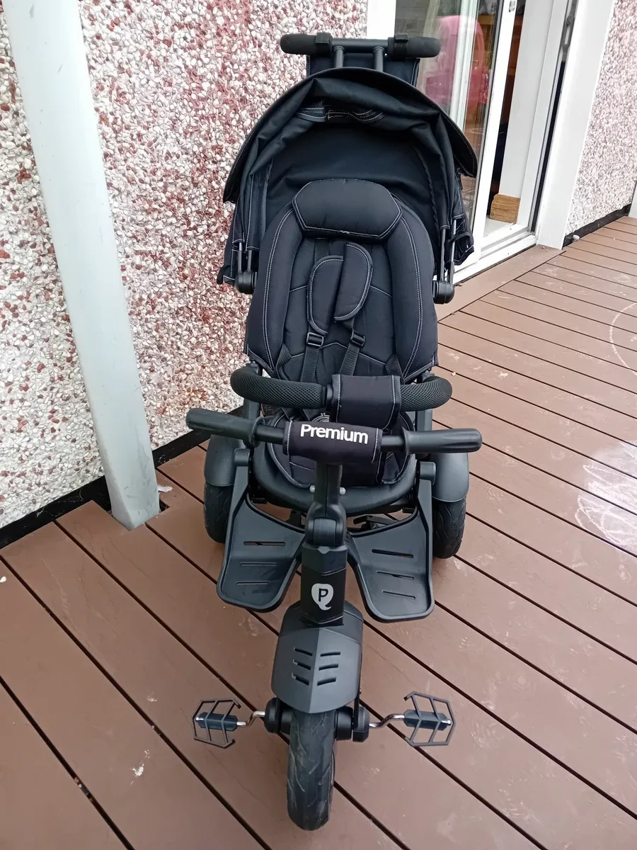 Trike - Image 3