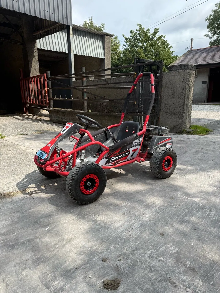 2 mud monsters 100cc petrol buggies - Image 1