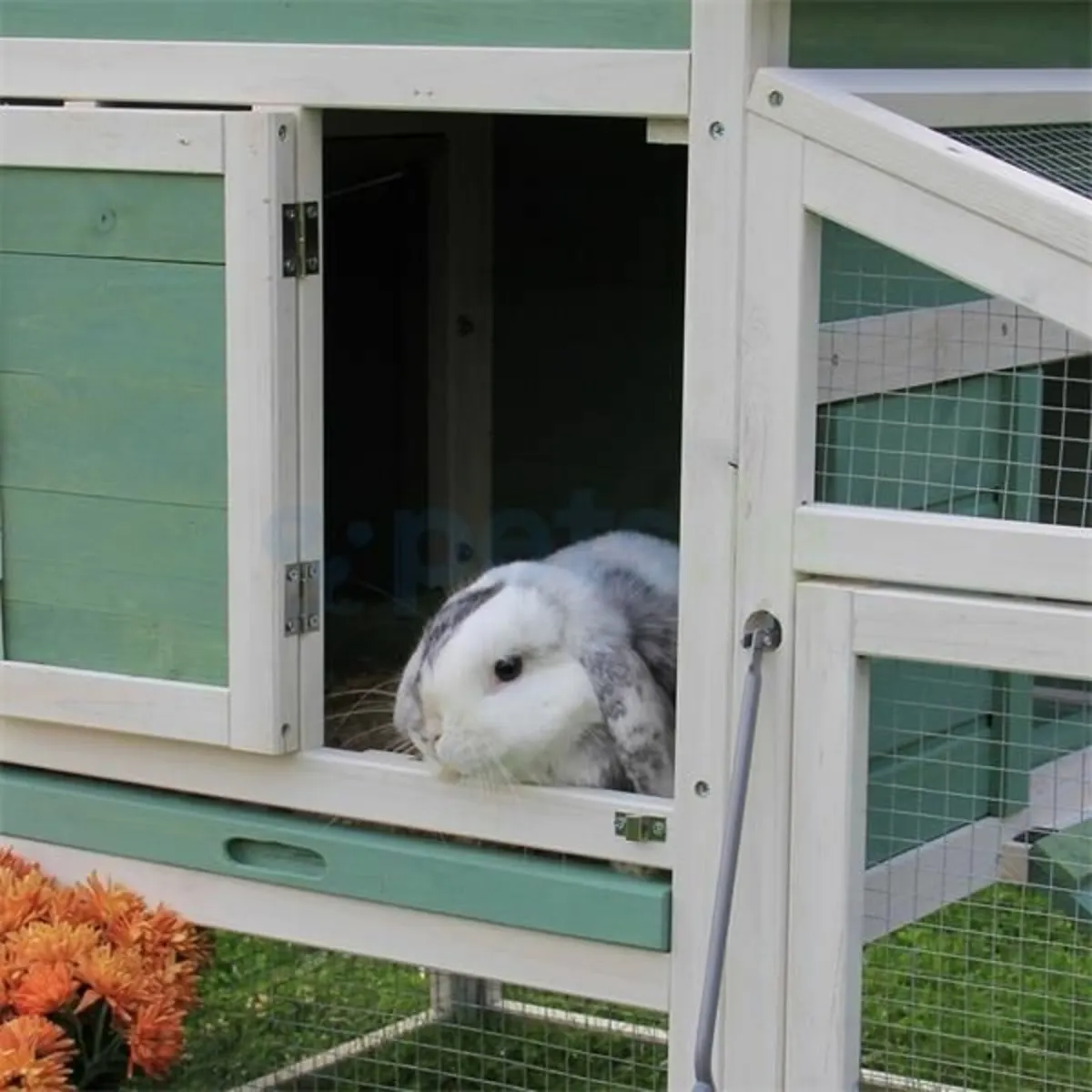 Rabbit Hutch - Image 3