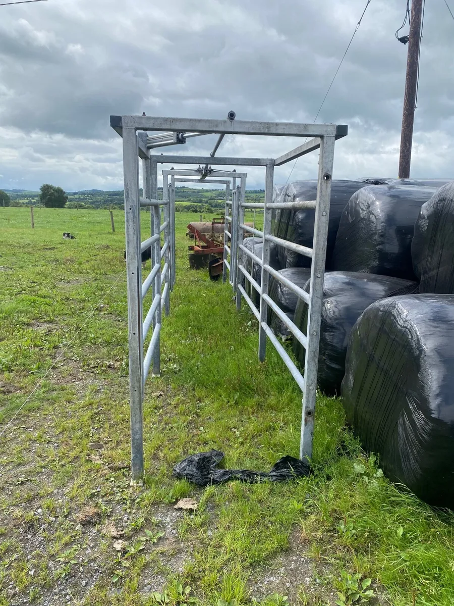 Cattle crush - Image 1