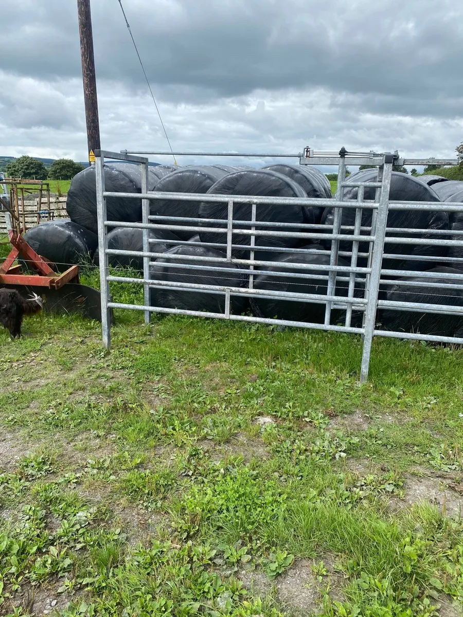 Cattle crush - Image 2