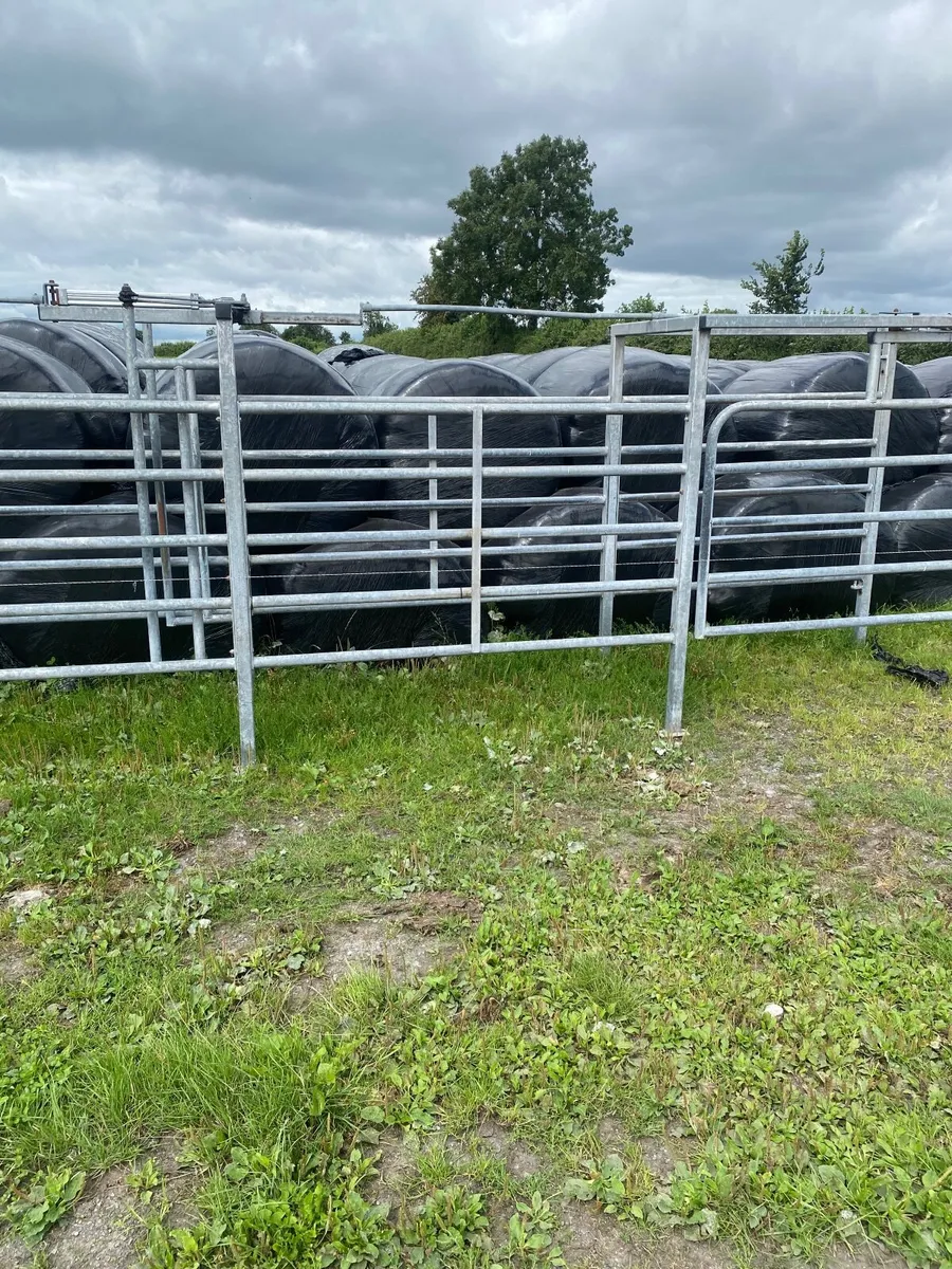 Cattle crush - Image 3