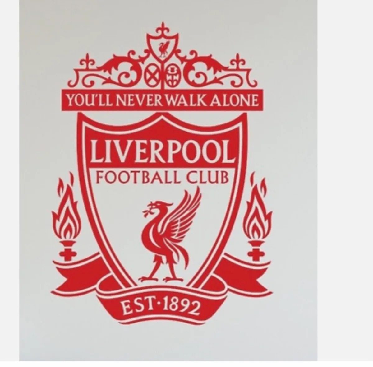 Liverpool V Palace Wembley ticket