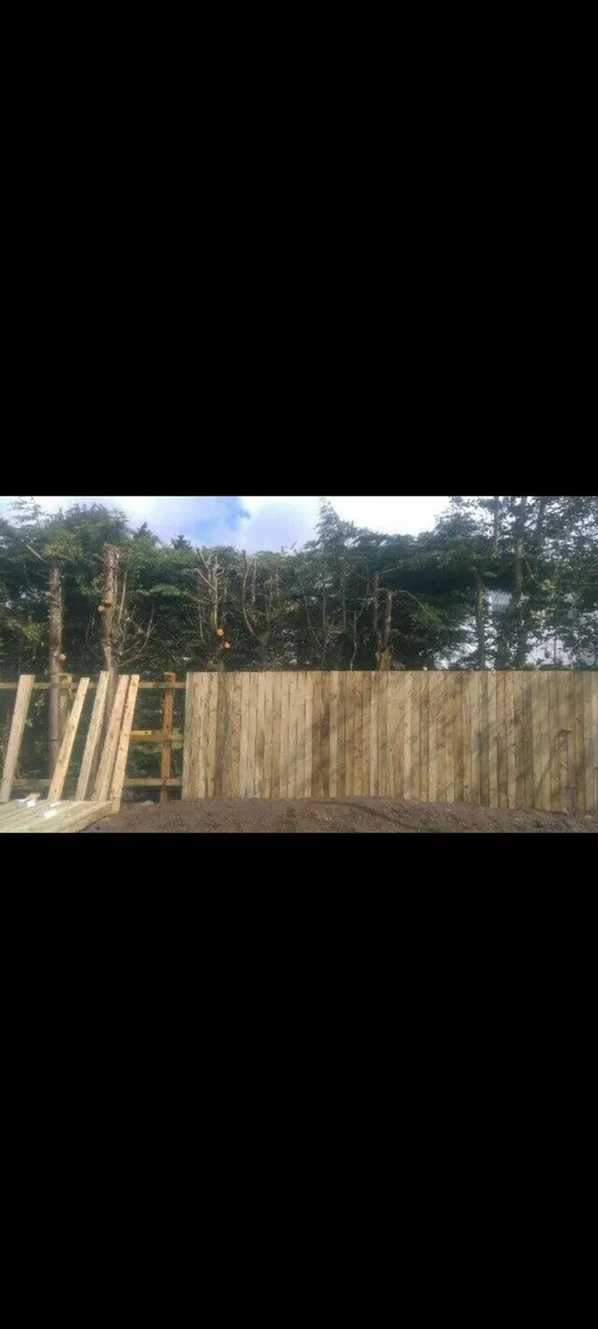Side Gates & Fencing - Image 1