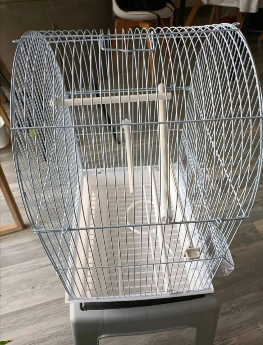 Bird Cage - Image 2
