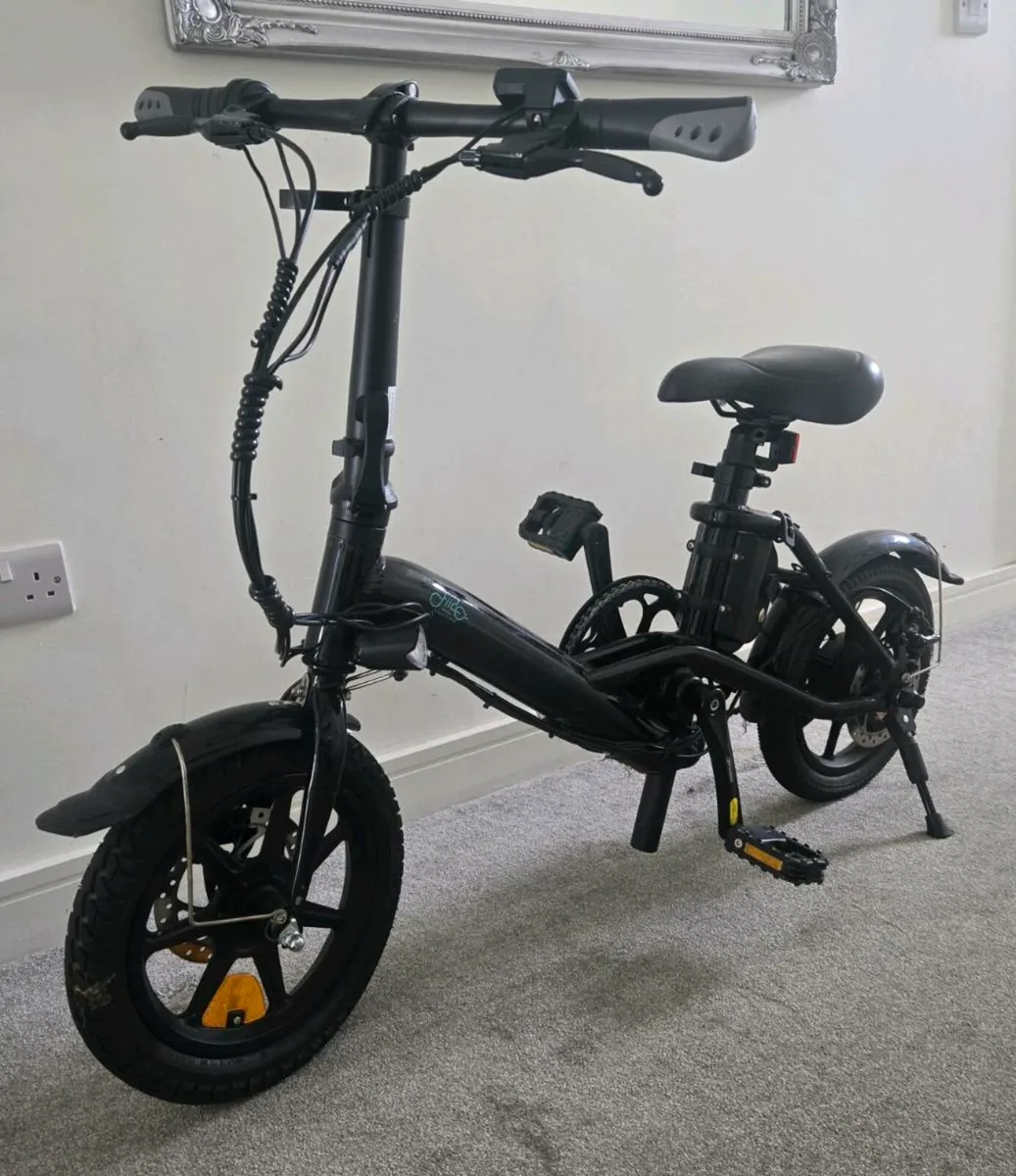 Fiido D3 Pro Electric Bike - Image 1