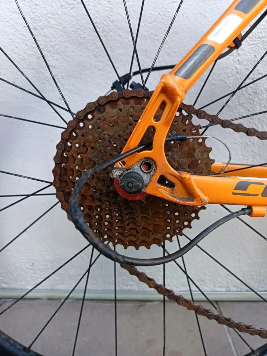 Cycling - Image 3