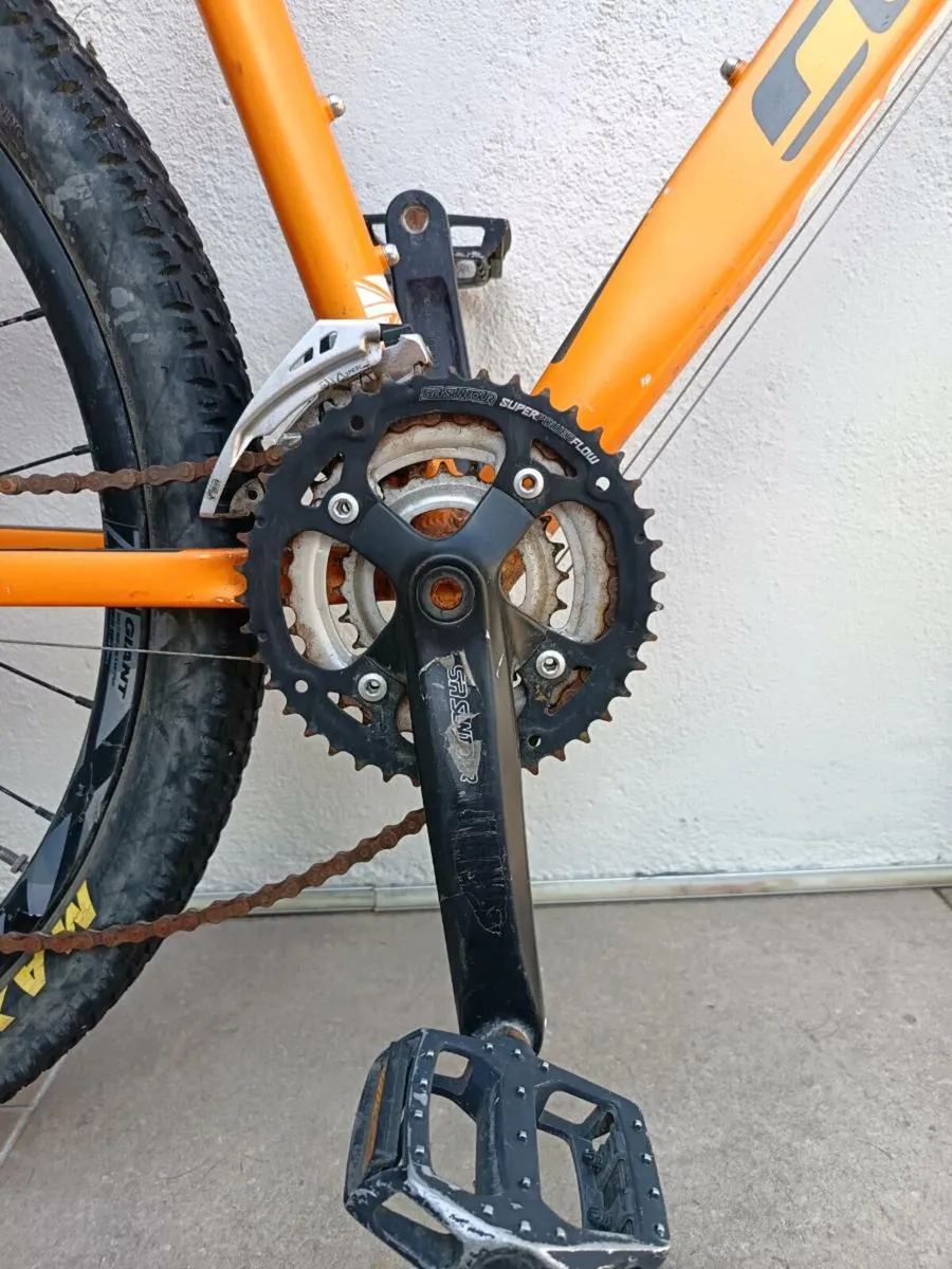 Cycling - Image 4