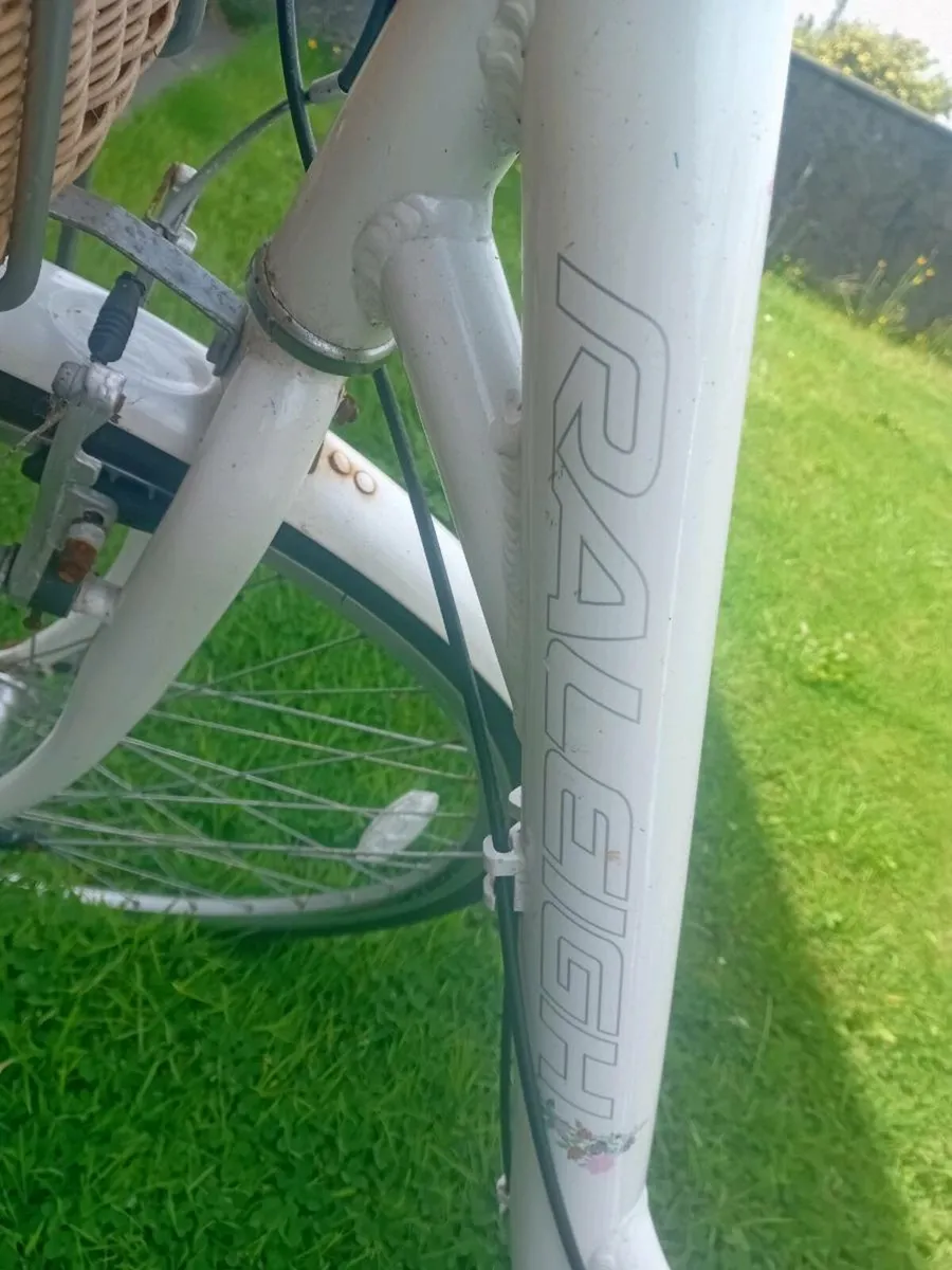Adults bike - Image 2