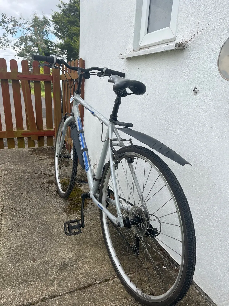 Bike - Image 3