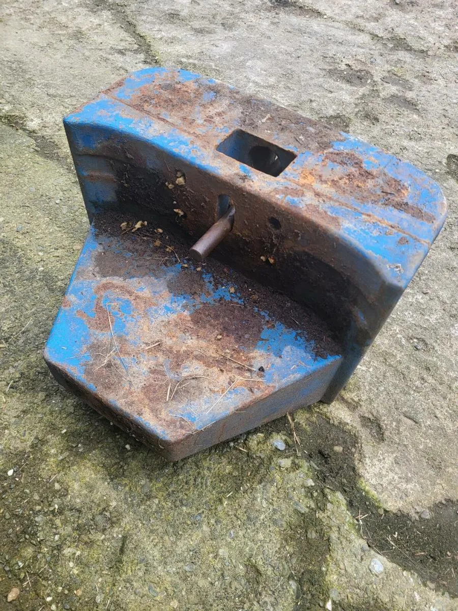 Roadless/ Ford weights - Image 4