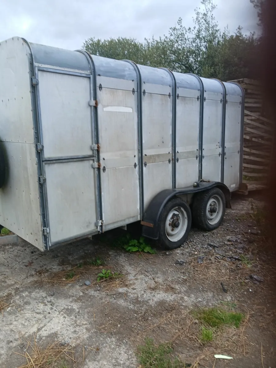 Cattle Box - Image 4