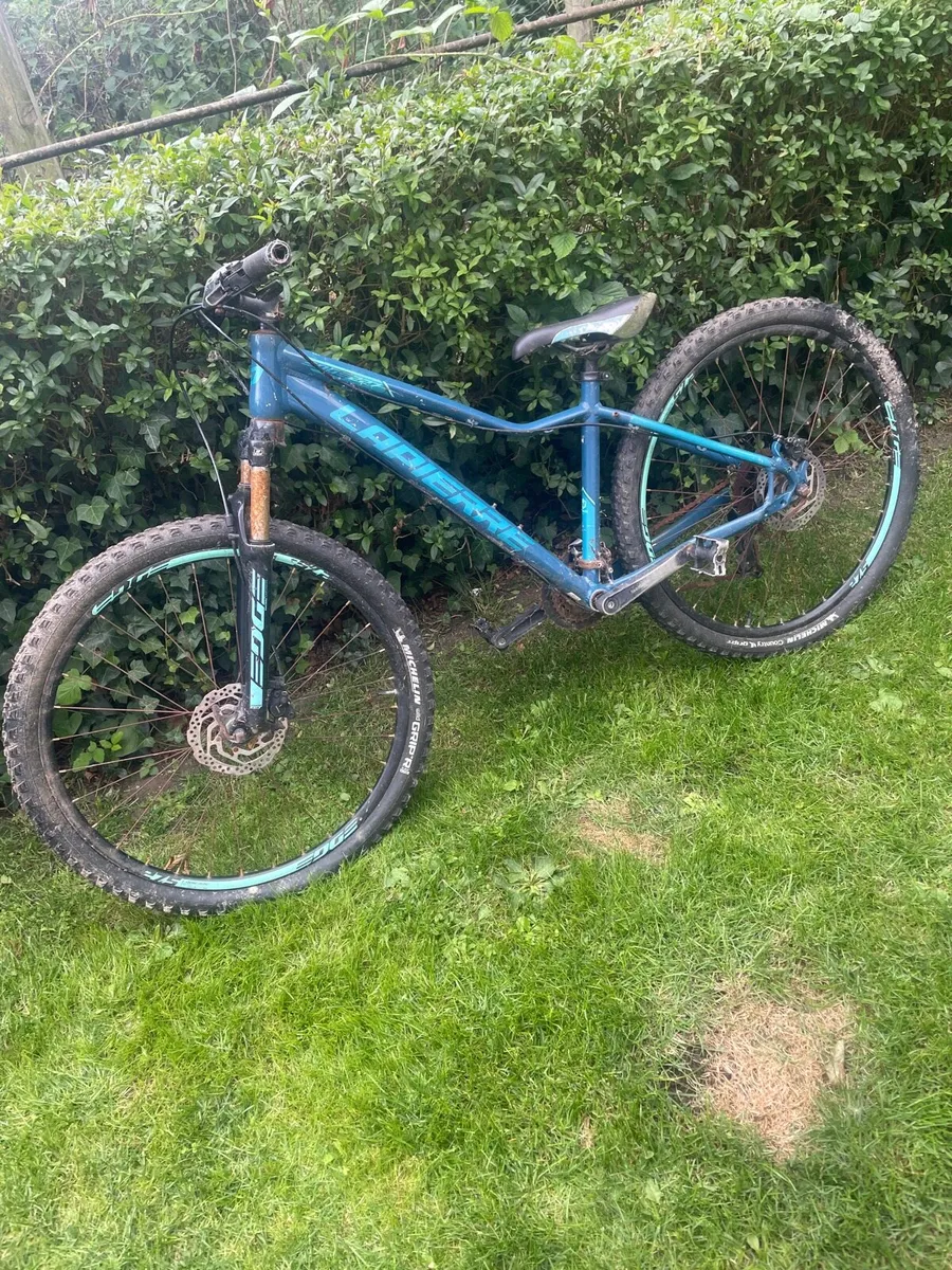 Bike - Image 1