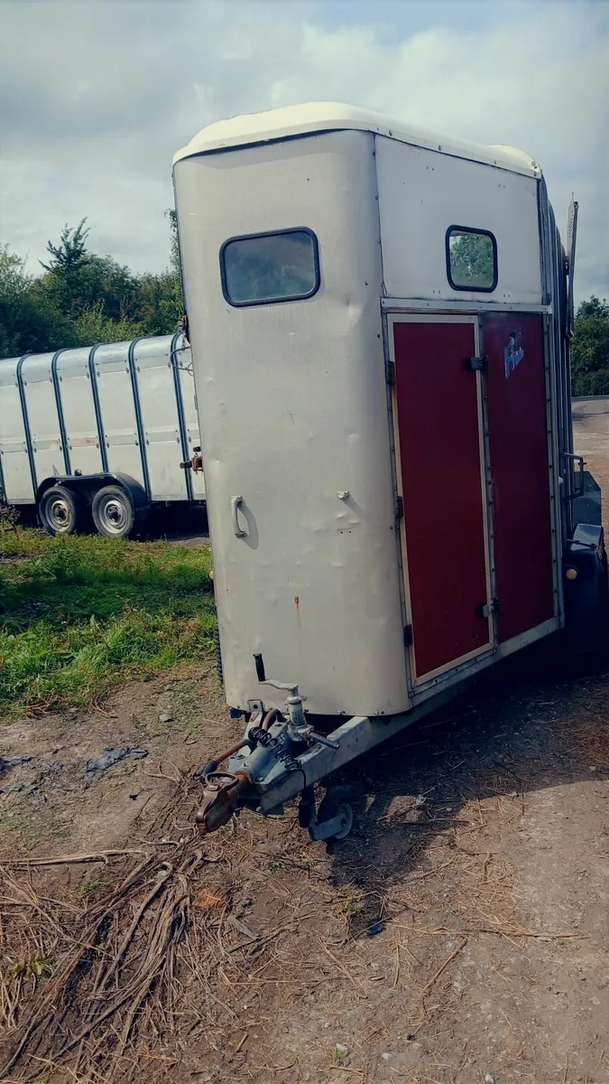 Ifor Williams 510 Horsebox - Image 4