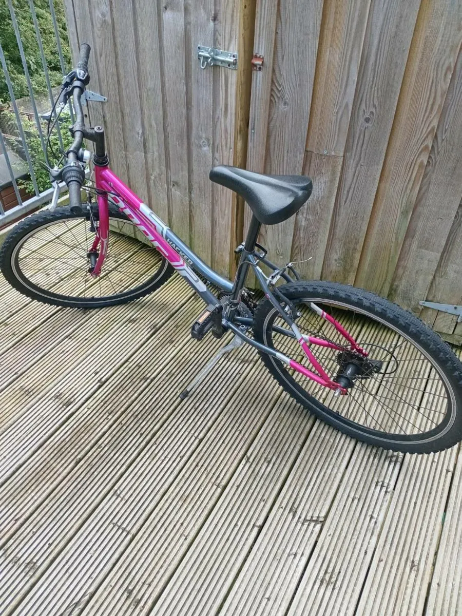 Bike - Image 1
