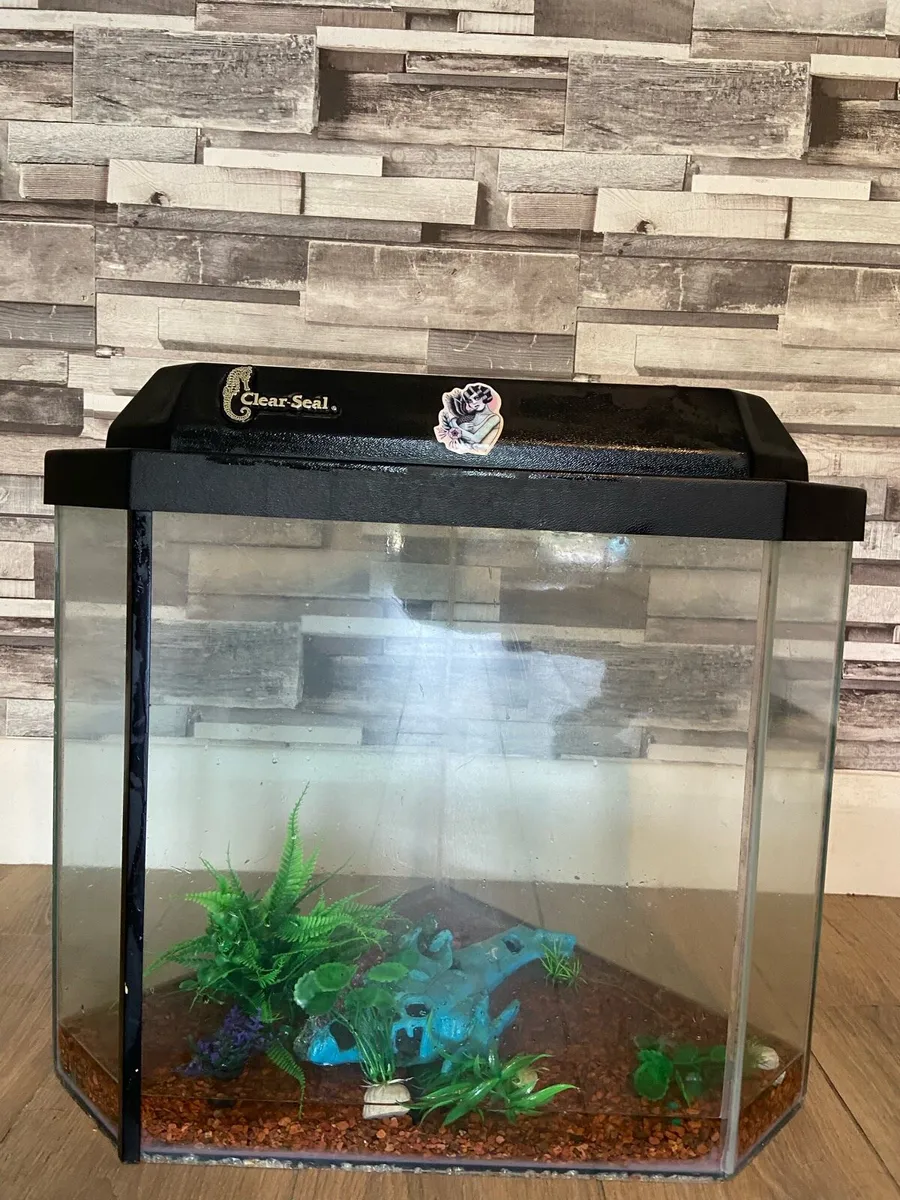 60 L fish tank - Image 1