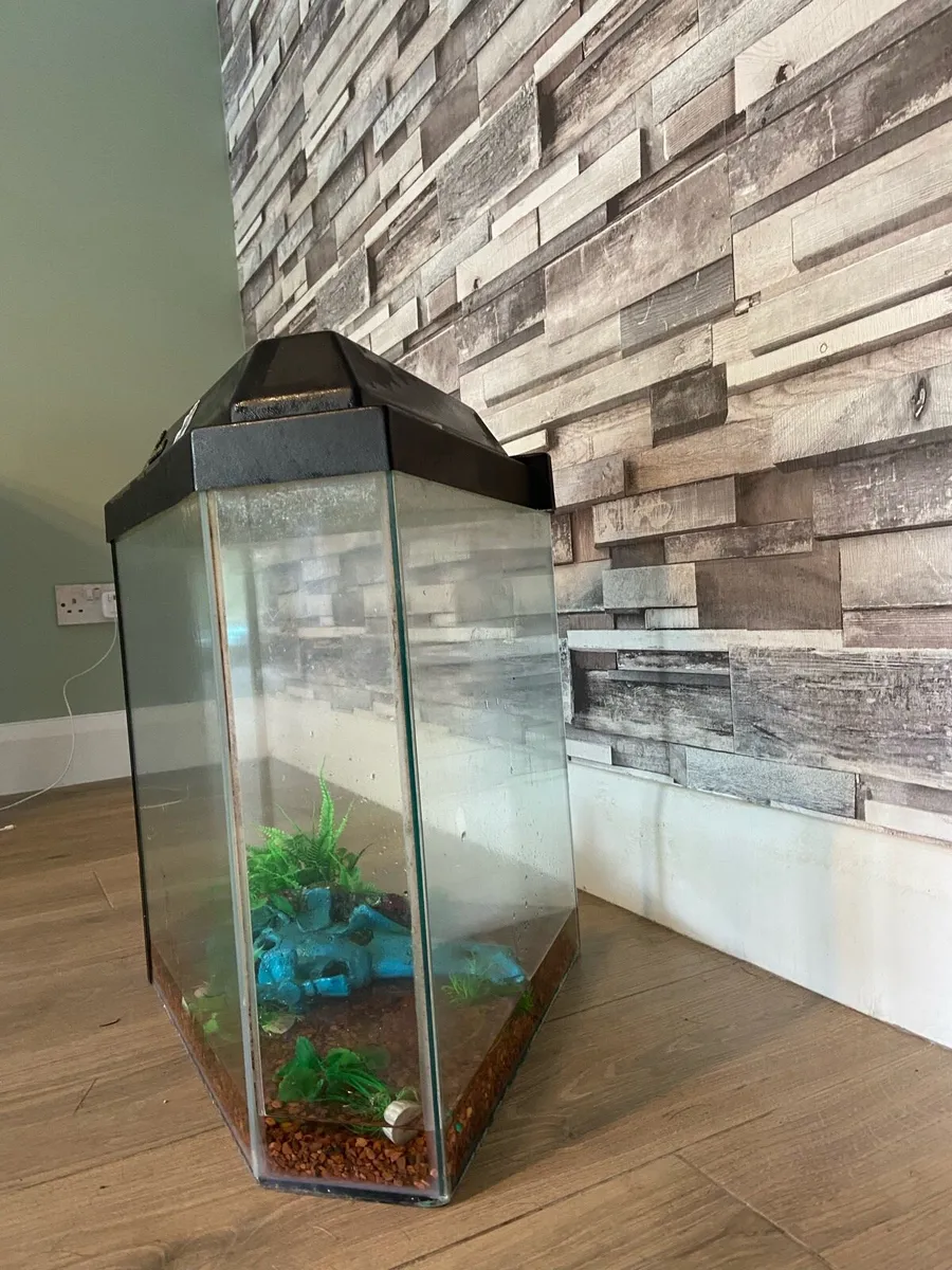 60 L fish tank - Image 2