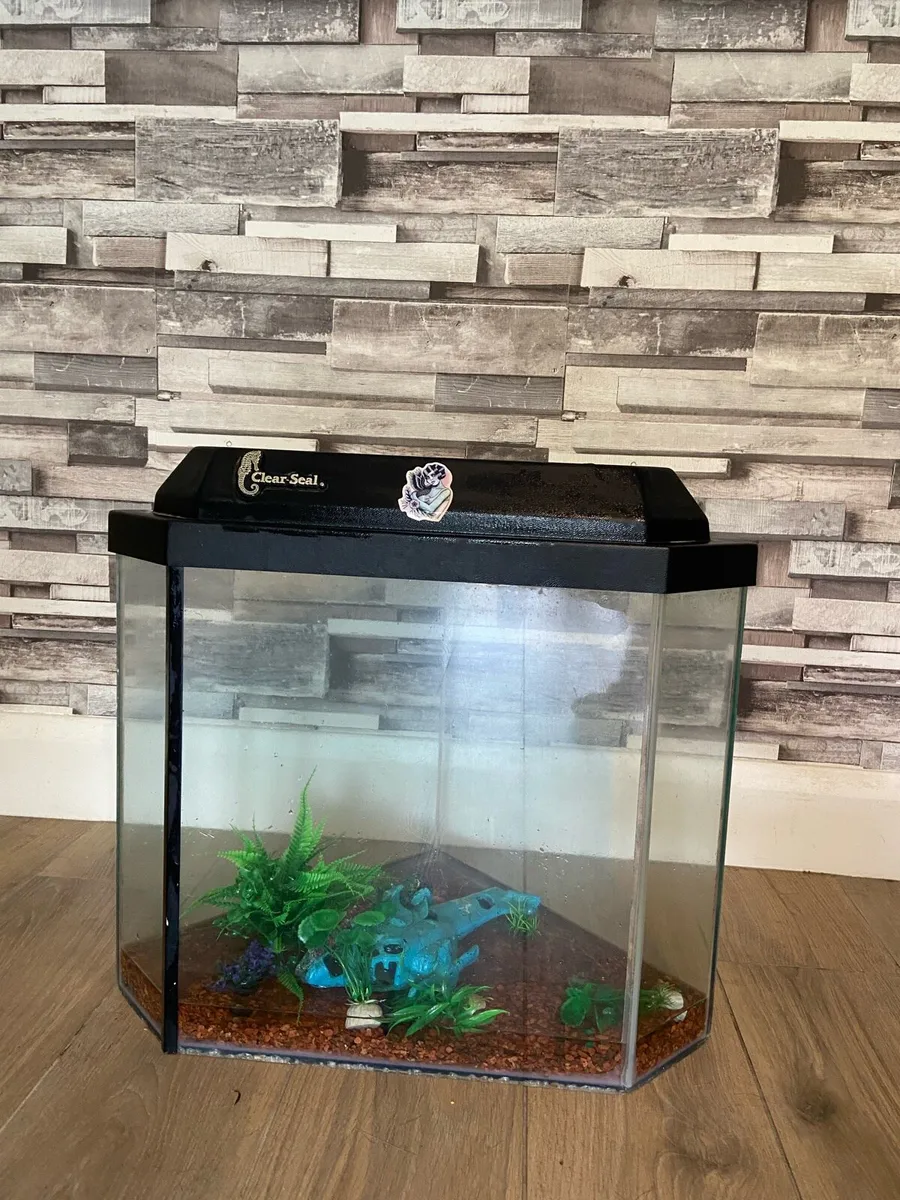 60 L fish tank - Image 3