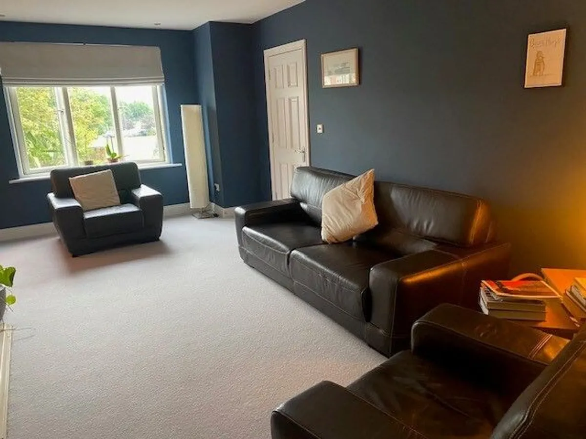 Leather suite - Image 1