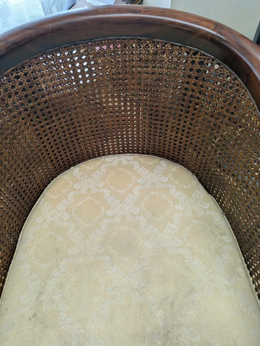 Bergere cane chairs - Image 3