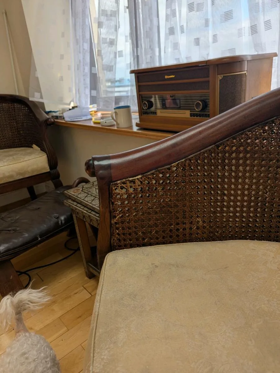 Bergere cane chairs - Image 4