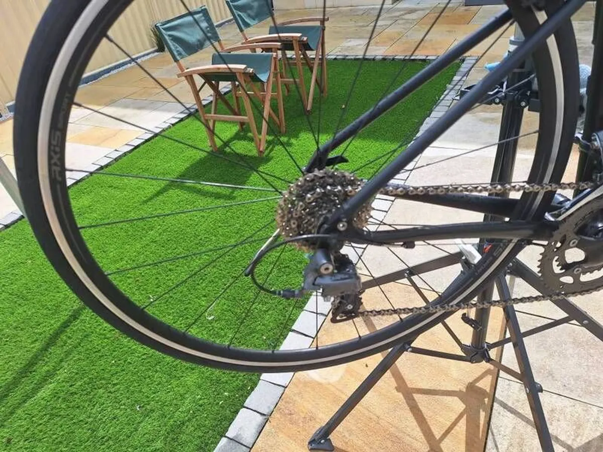 specialised allez - Image 2