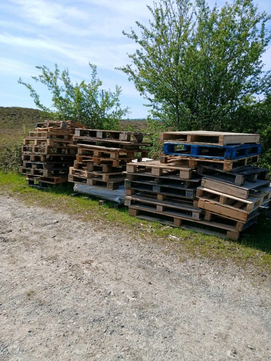 Pallets good and broken - Image 1