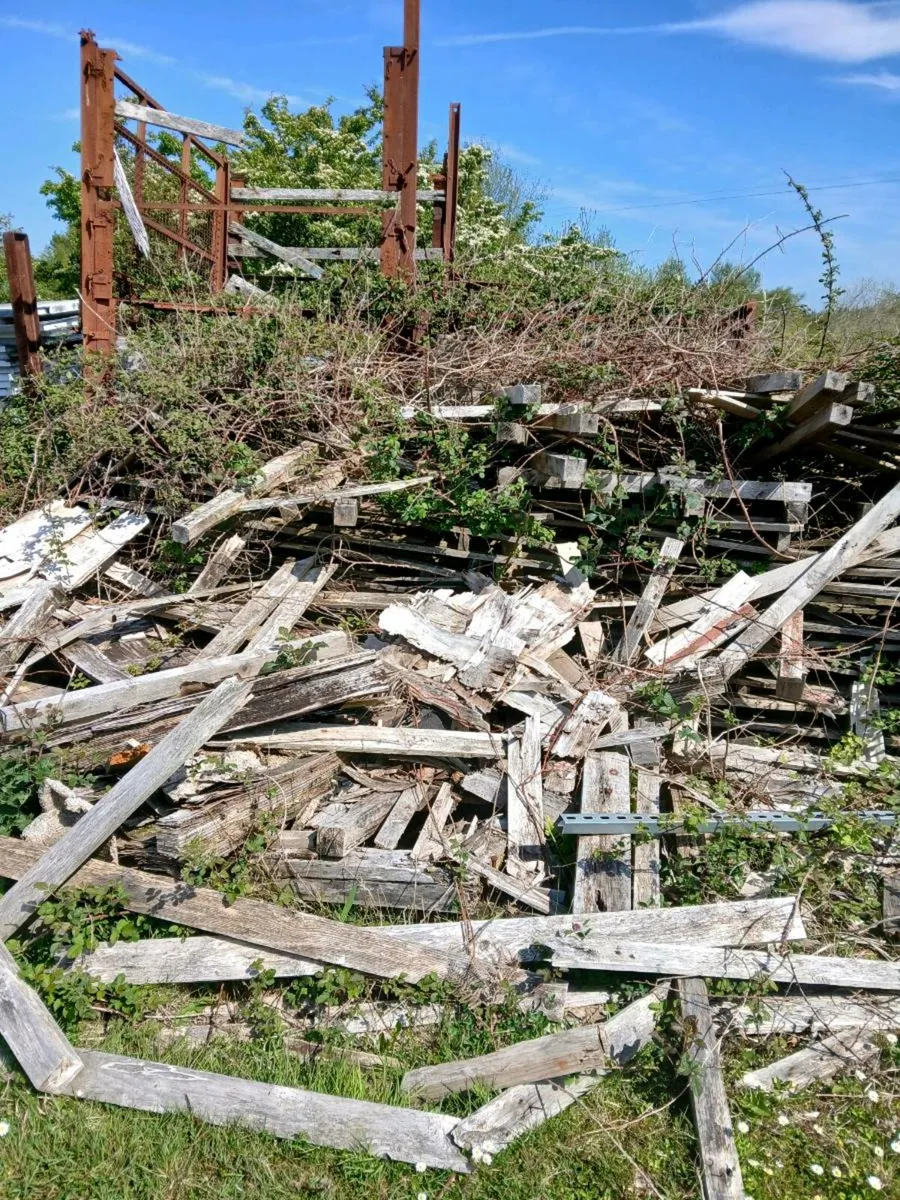 Pallets good and broken - Image 3