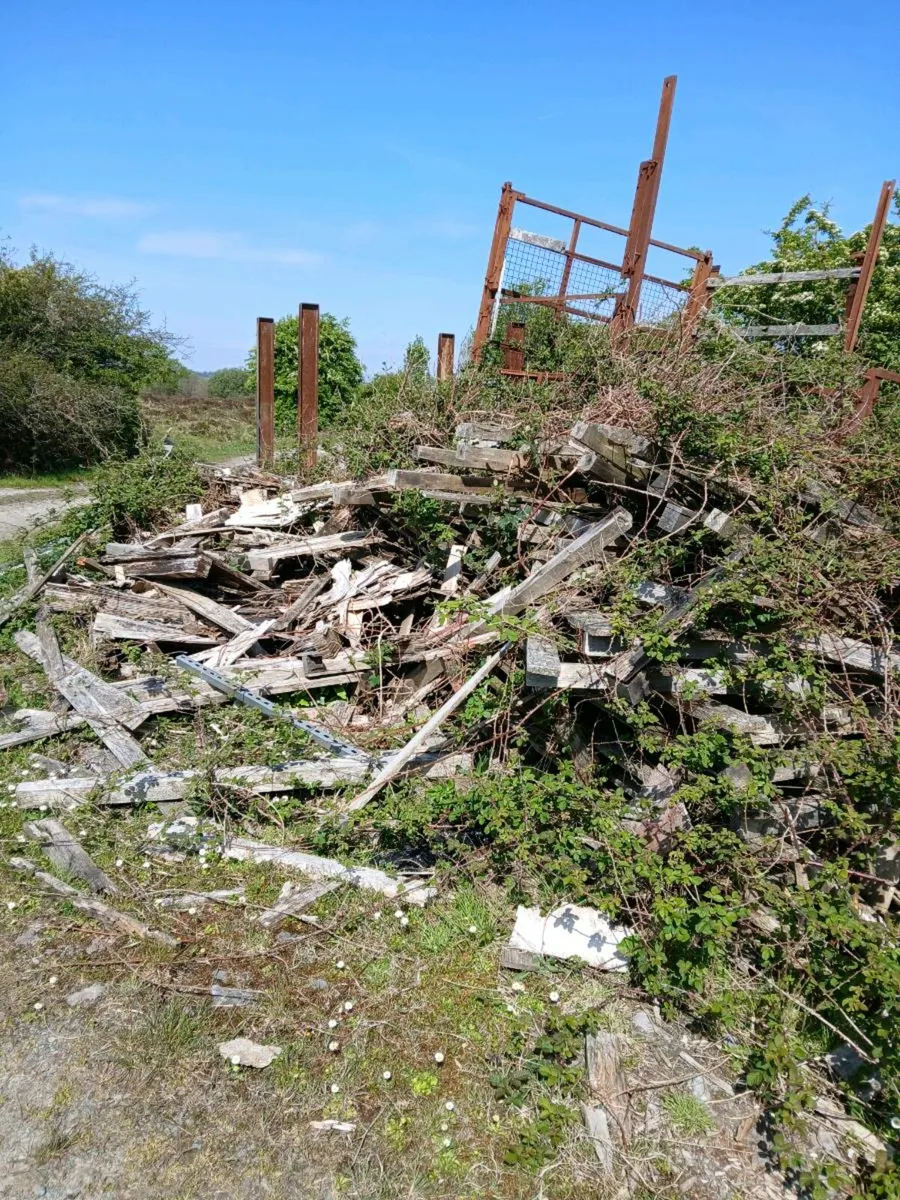 Pallets good and broken - Image 4