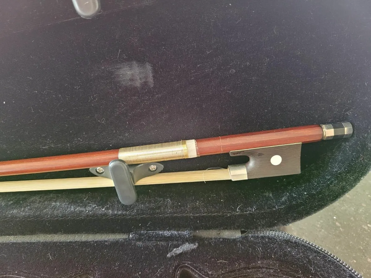 violin - Image 4