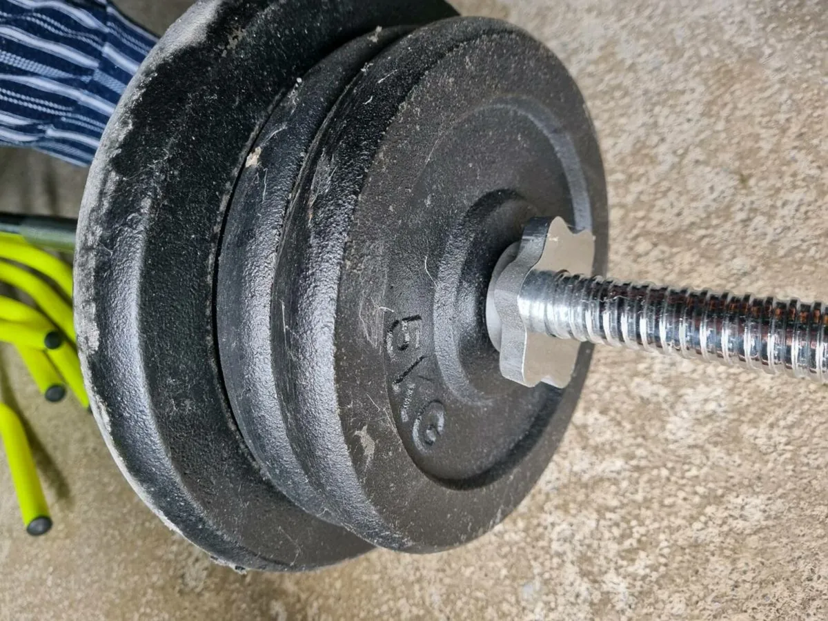 Weights - Image 4