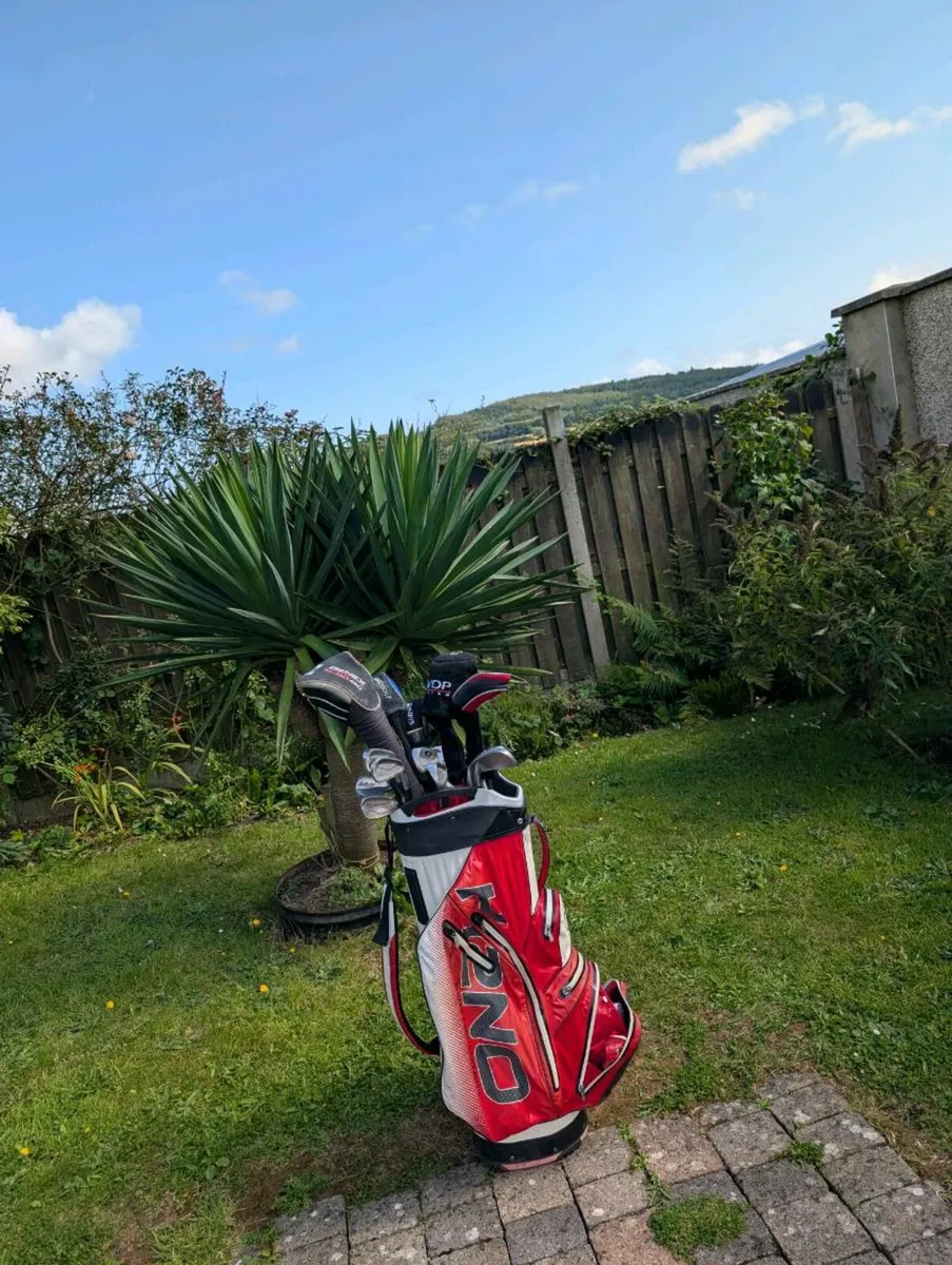 Set of adult Golf clubs fully loaded - Image 1