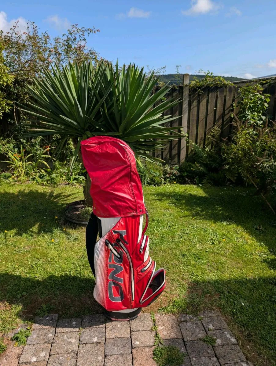Set of adult Golf clubs fully loaded - Image 2