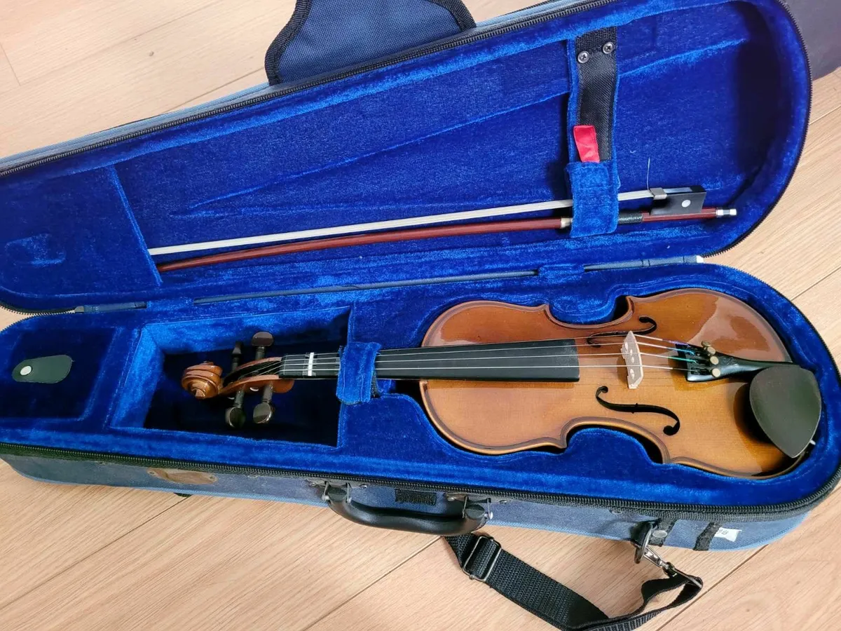 violin - Image 1
