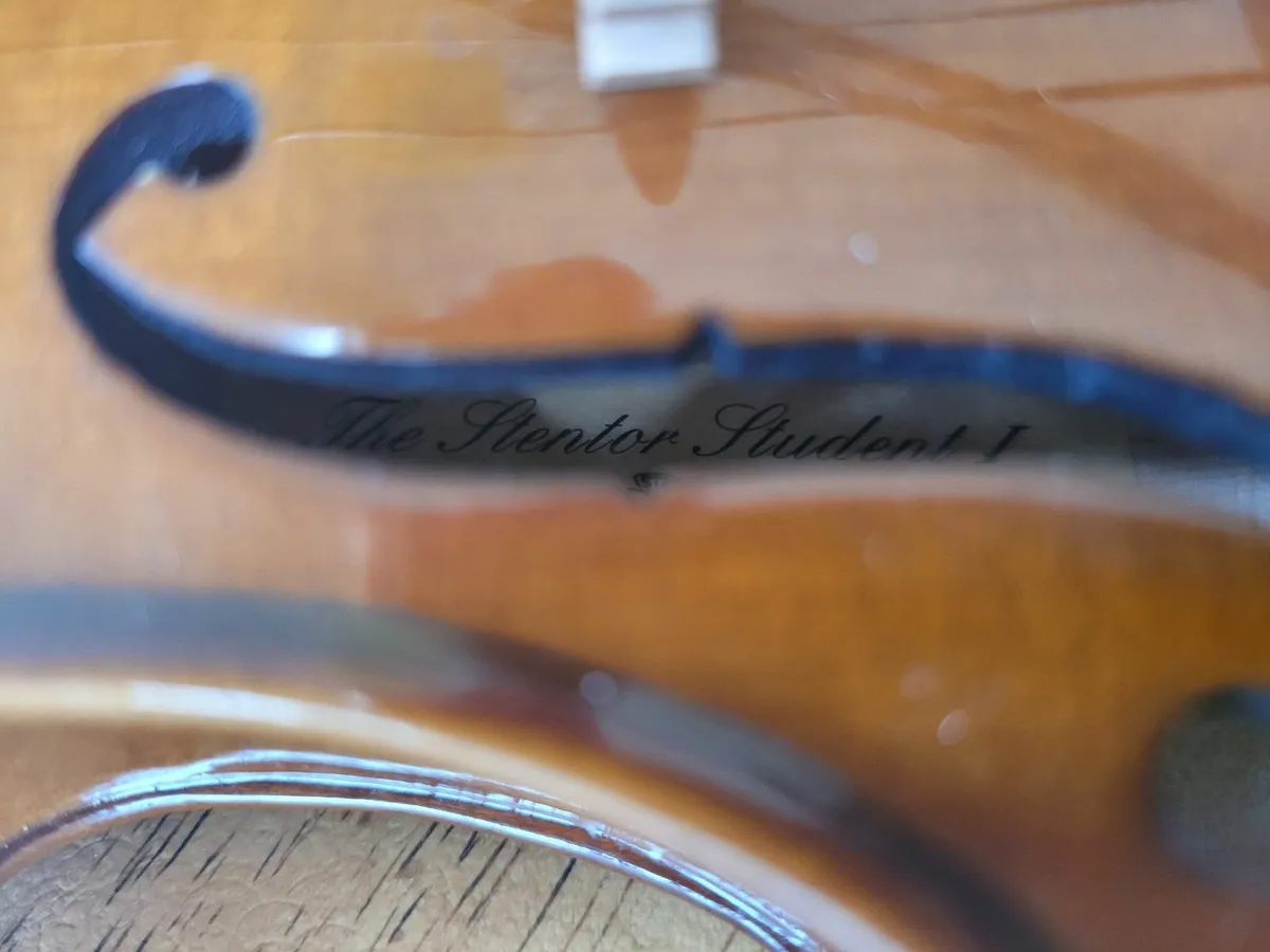 violin - Image 4
