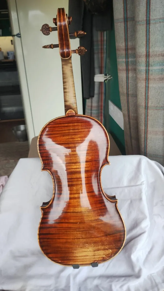 violin - Image 1