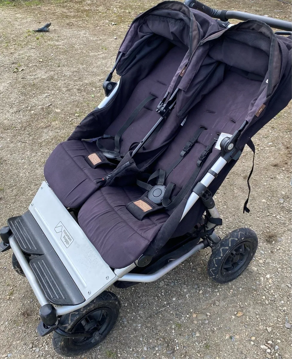 Double Buggy - Image 1
