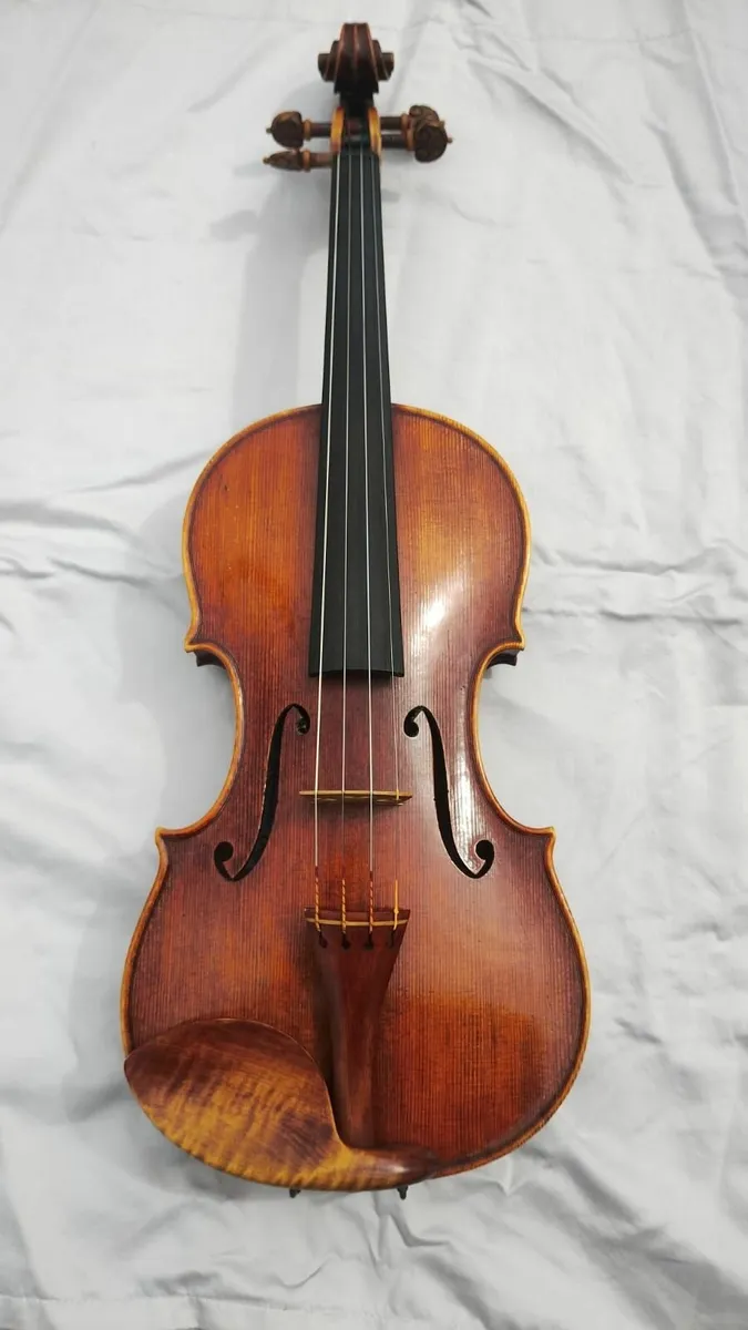 violin - Image 3